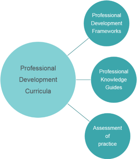 Curricula elements
